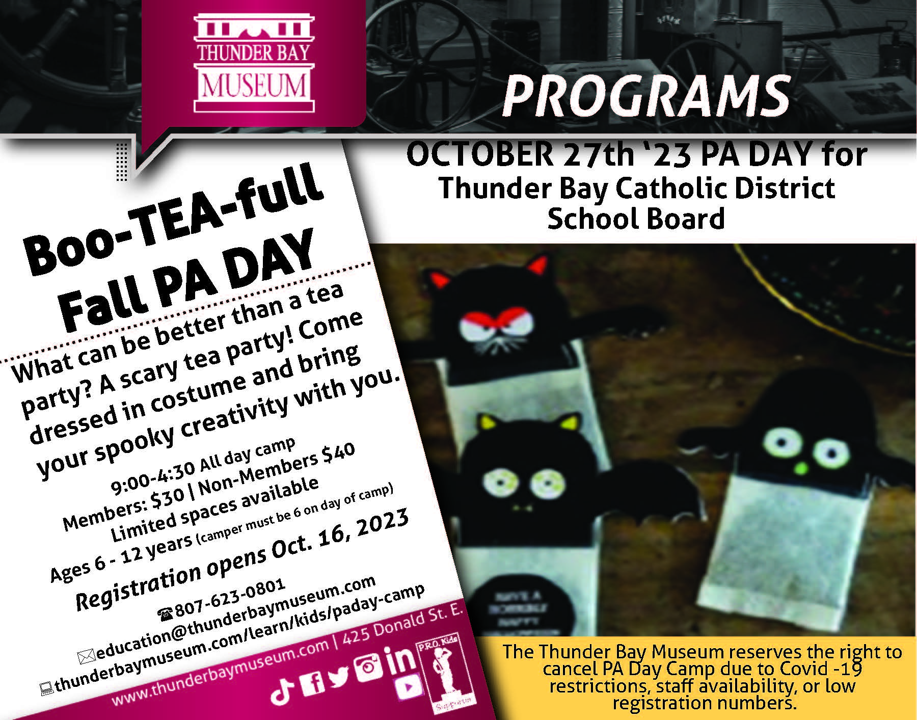 PA Day Camp At the Thunder Bay Museum – Boo-TEA-full Fall Thunder Bay Catholic District School Board